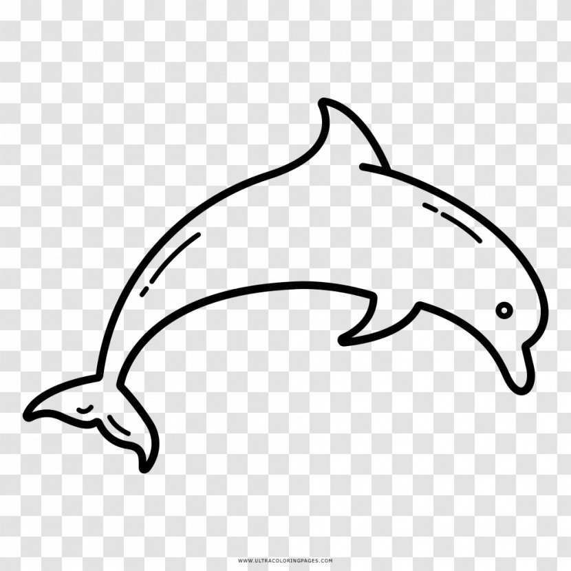 Dolphin Drawing Coloring Book Black And White Clip Art - Fauna Transparent PNG