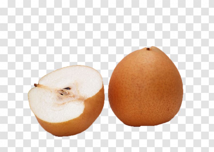 European Pear Fruit Computer File Transparent PNG