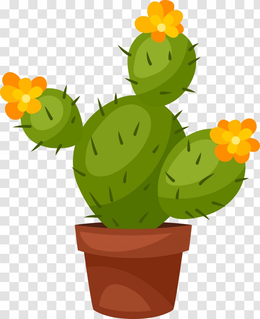 Cactus And Succulents Succulent Plant Pachypodium Lamerei - Cacti Transparent PNG