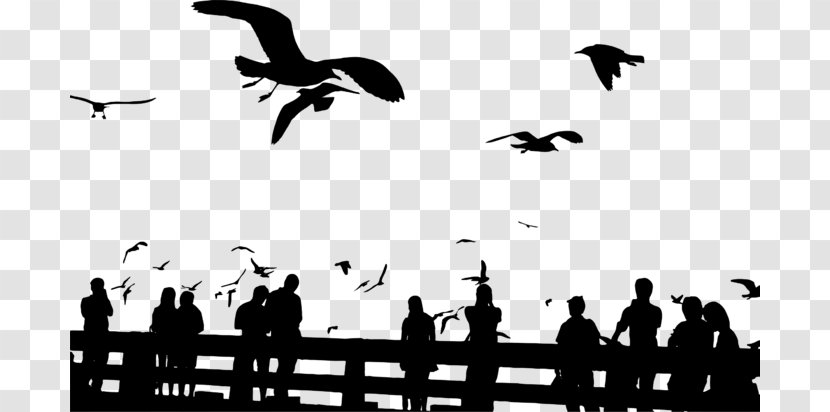 Bird Flight Silhouette Flock Clip Art Transparent PNG