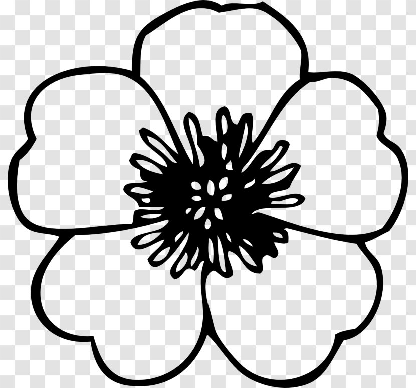 Coloring Book Flower Poppy Adult Transparent PNG