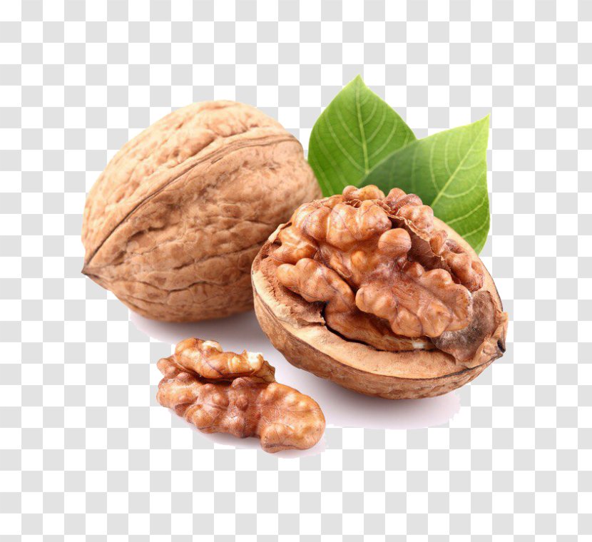 English Walnut Nuts Oolong - Juglandaceae Transparent PNG
