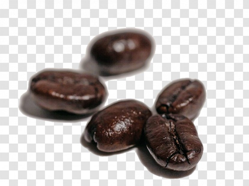 Coffee Bean Espresso Tea - Drink - HD Beans Transparent PNG
