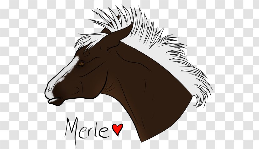 Mustang Rein Clip Art Illustration Halter - Horse - Express Little Brother Transparent PNG