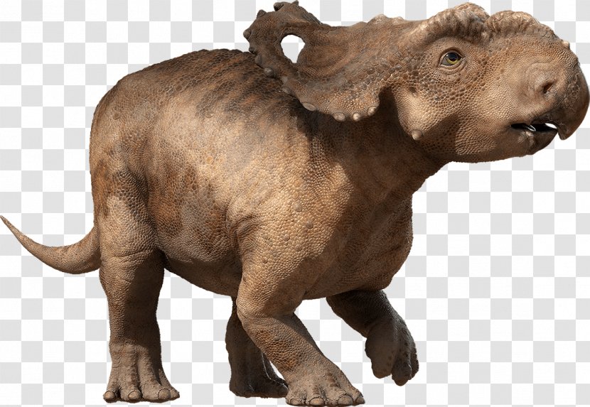 Patchi Scowler Pachyrhinosaurus Triceratops Allosaurus - Snout - Dinosaurs Transparent PNG