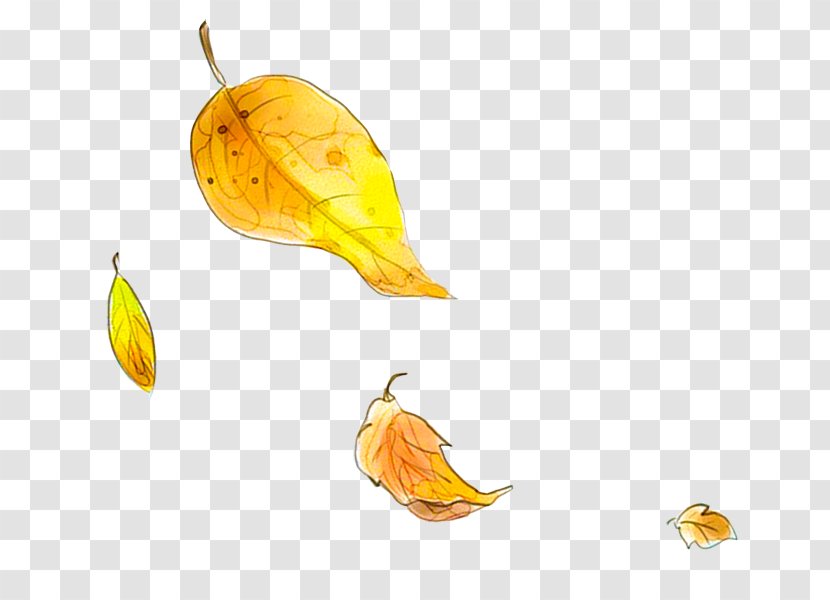Autumn Leaf Yellow - Deciduous - Leaves Transparent PNG