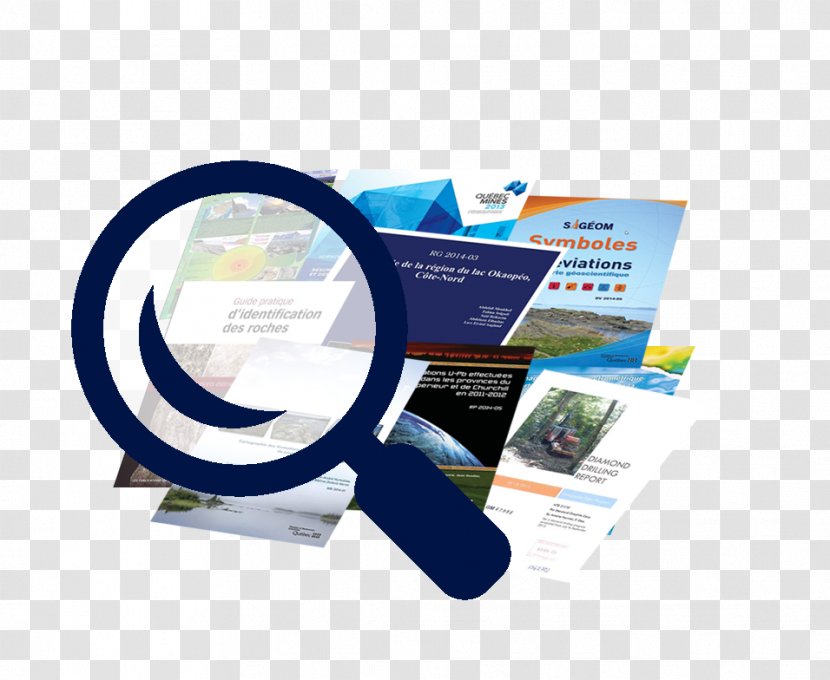 Information System Island Delta Content Management - Report - Examine Transparent PNG