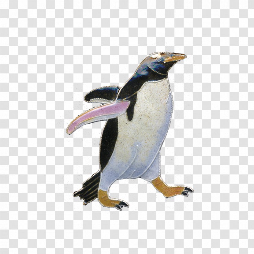 Penguin Fauna Beak Transparent PNG