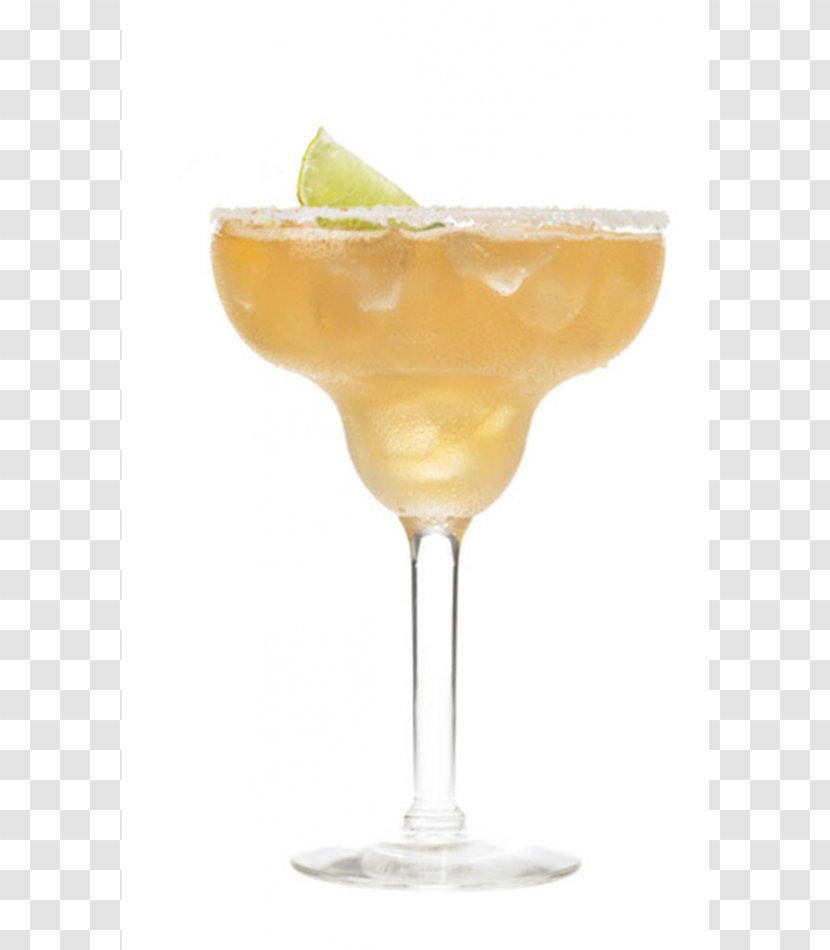 Cocktail Garnish Margarita Whiskey Sour Daiquiri Martini - Sea Breeze Transparent PNG
