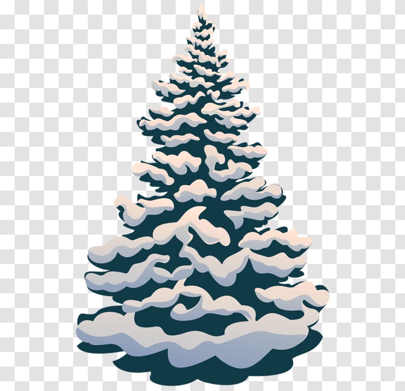 Cartoon Winter Stock Photography Illustration - Spruce - Snow Pine Transparent PNG