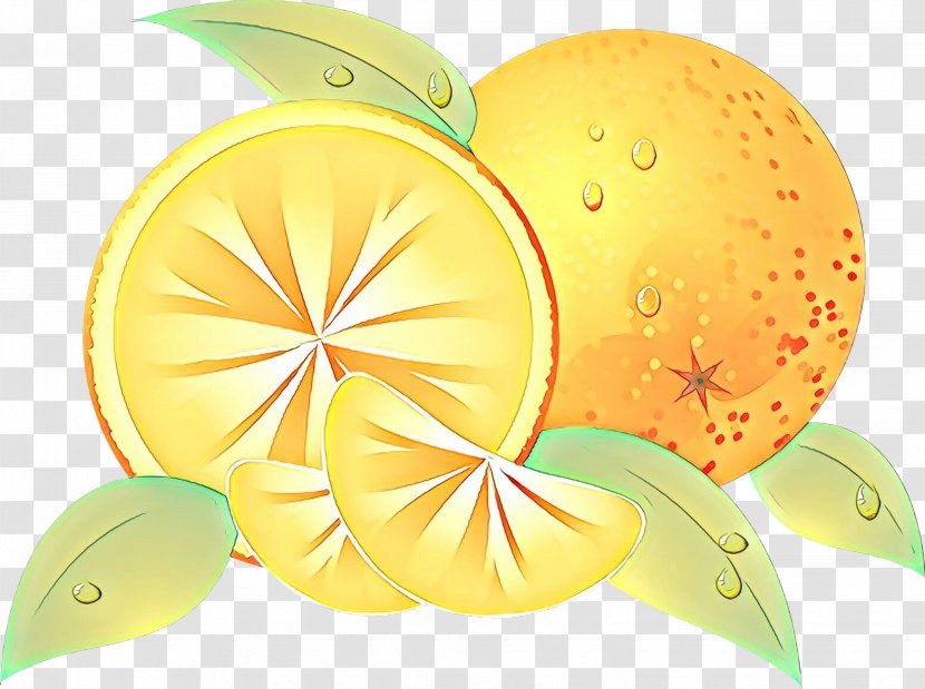 Cartoon Lemon - Fruit - Citrus Plant Transparent PNG