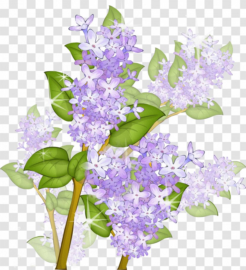 Lilac Flower Picture Frames Clip Art - Violet Transparent PNG