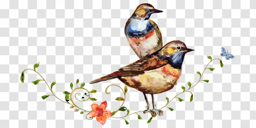 Watercolor Painting Drawing Bird - Cartoon Standing Branches Painted Flowers Transparent PNG