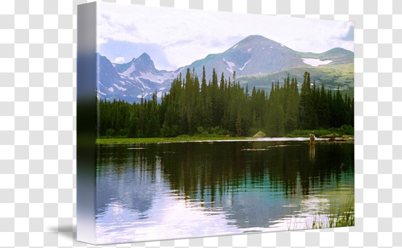 Fly Fishing Nature Reserve Mount Scenery Art Transparent PNG