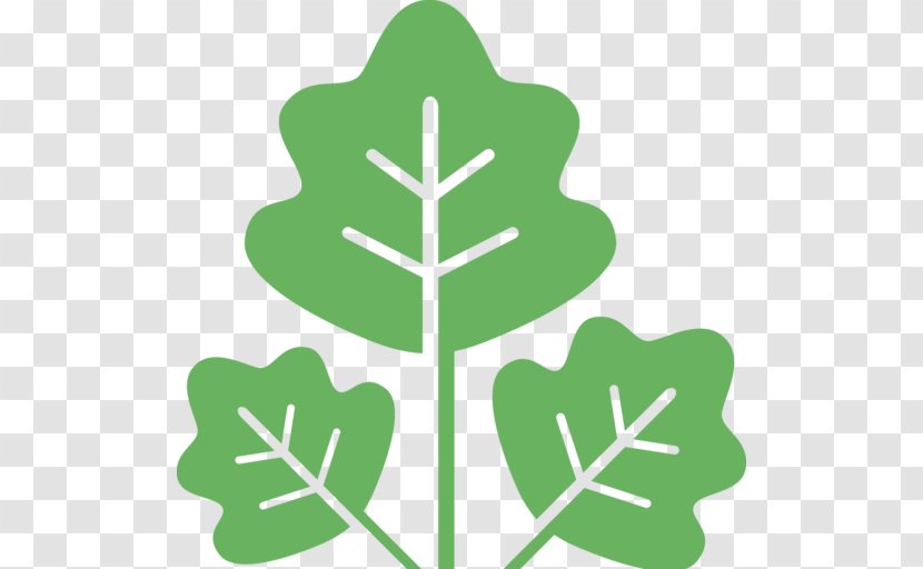 Tree Clip Art - Logo Transparent PNG