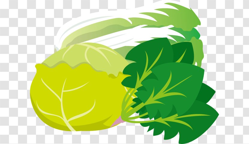 Greens Illustration Napa Cabbage Bargli Sabzavotlar - Spinach Transparent PNG