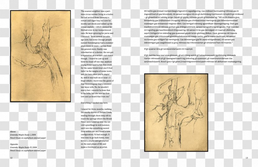 Paper Artist's Book Folio Font - Text - Dropped Transparent PNG