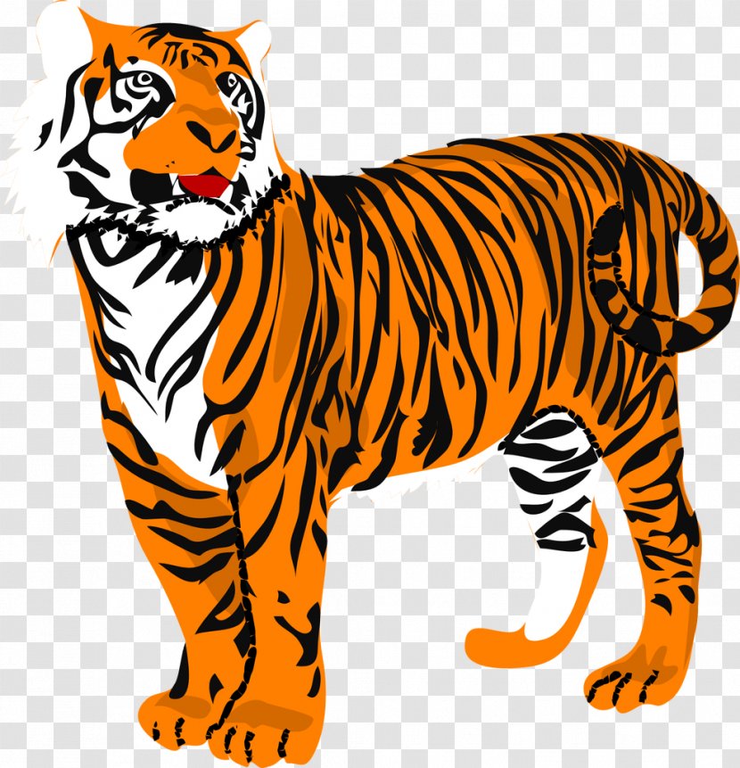 Tiger Tail Clip Art - Organism - Whiskers Transparent PNG