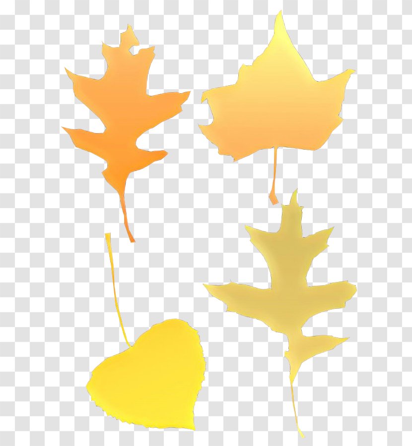 Maple Leaf - Plane - Plant Transparent PNG