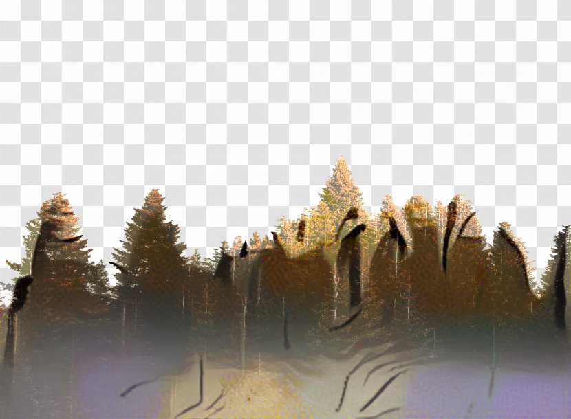 Family Tree Background - Wind - Lake Winter Transparent PNG