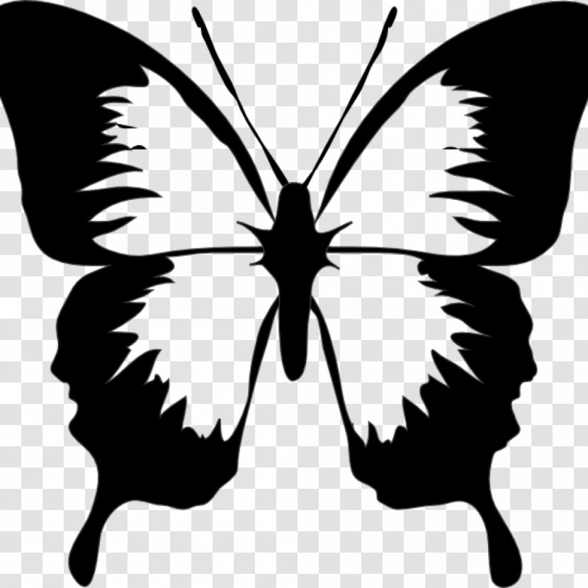 Butterfly Clip Art Vector Graphics Image Free Content - Monarch Transparent PNG