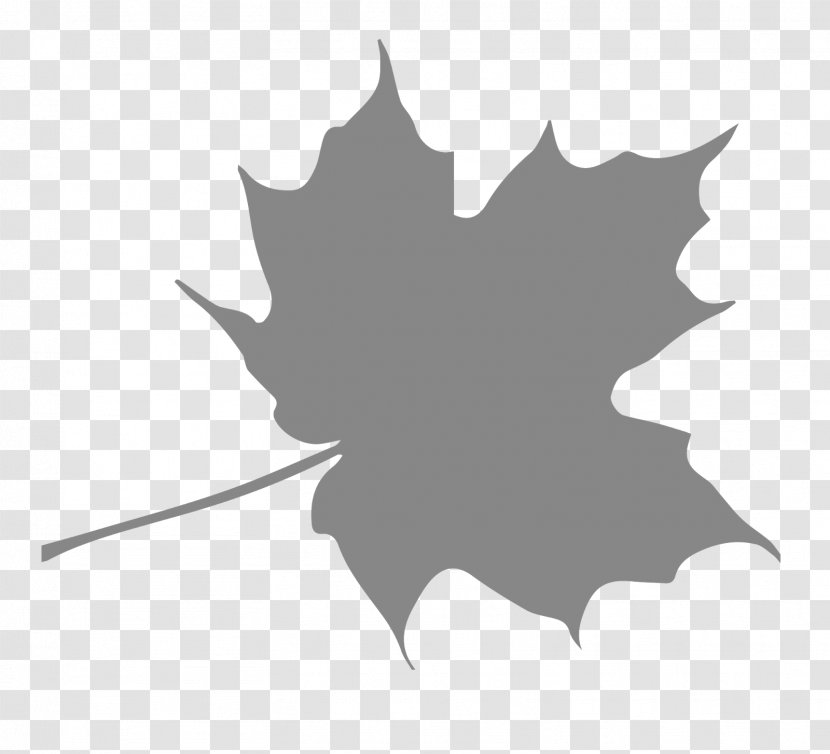 Autumn Leaf Color Maple - Black And White - Pattern Shading Transparent PNG