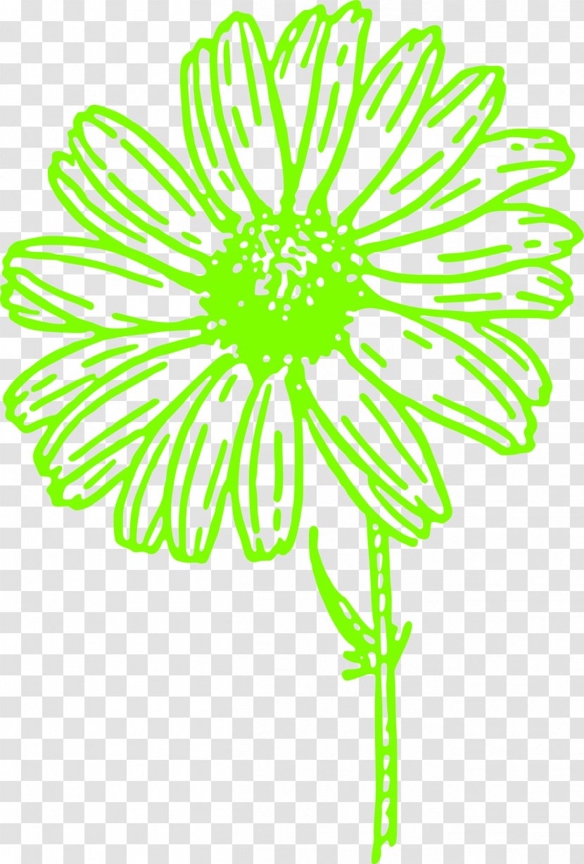 Common Daisy Clip Art - Floral Design - BLOSSOM Transparent PNG