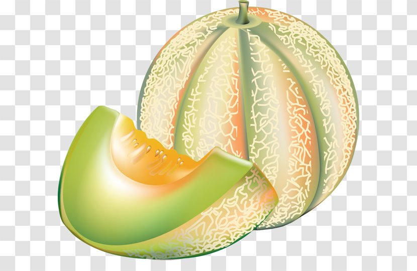 Honeydew Cantaloupe Melon Clip Art - Free Content - Melons Cliparts Transparent PNG