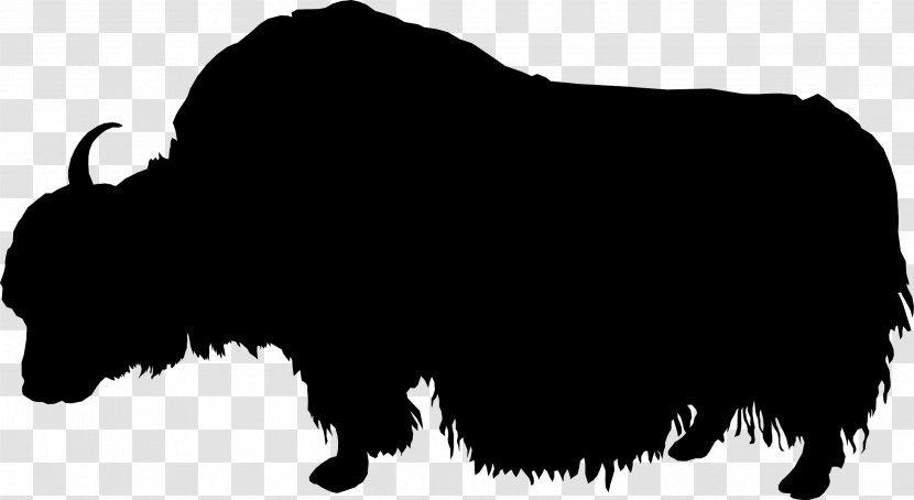 Domestic Yak Bison Silhouette - Bull Transparent PNG