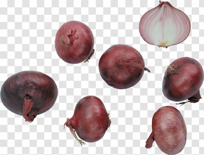 Shallot Vegetable Red Onion Garlic Beetroot - Fruit Transparent PNG