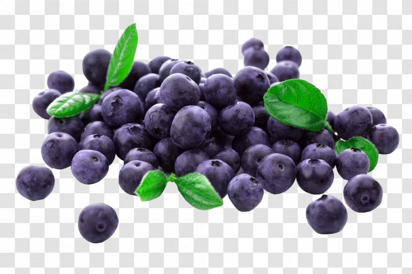 Muffin Blueberry Frutti Di Bosco Flavor Balsamic Vinegar - Butter - Free Fresh Blueberries Pull Physical Map Transparent PNG