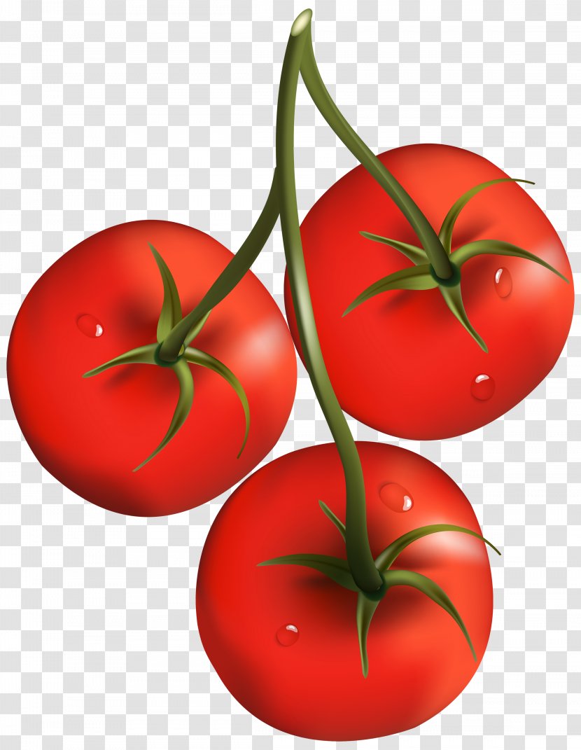 Cherry Tomato Vegetable Clip Art - Bush - Tomatoes Transparent PNG