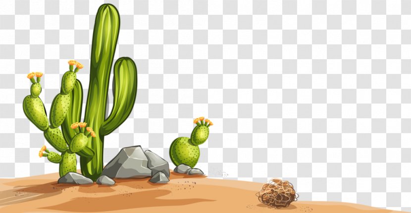 Desert Cactaceae Illustration - Flower - Painted Cactus Transparent PNG