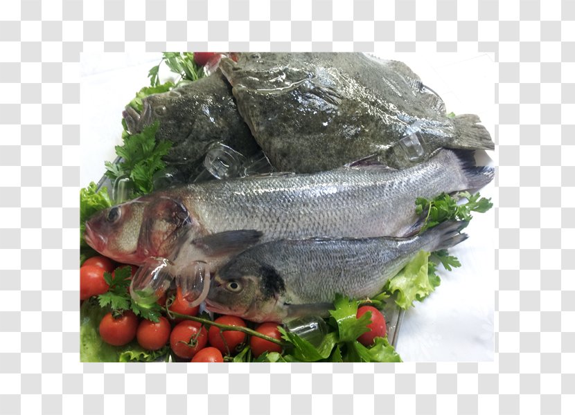 Fish Products Tilapia 09777 Salmon Oily - Food - Pepe Grillo Transparent PNG