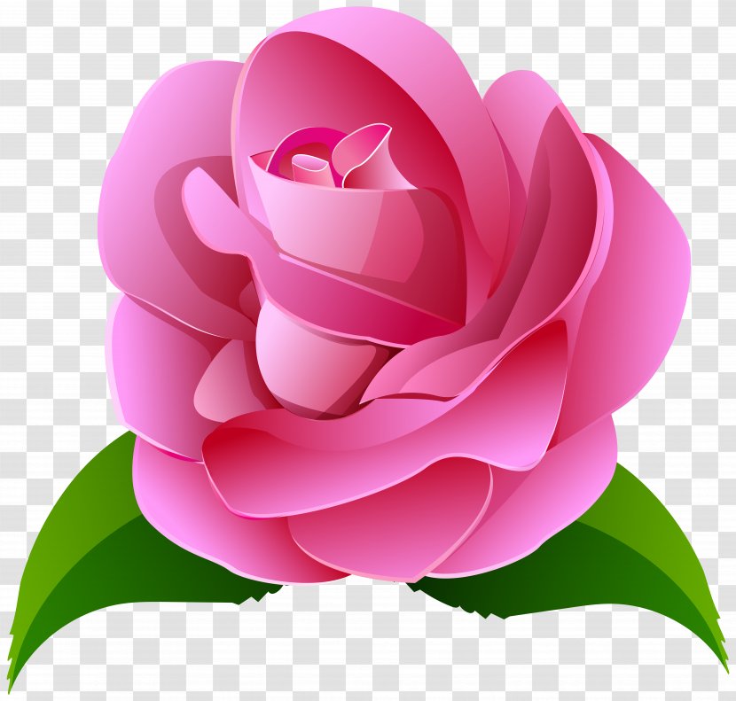 Centifolia Roses Pink Clip Art - Blue - Rose Deco Transparent Image Transparent PNG