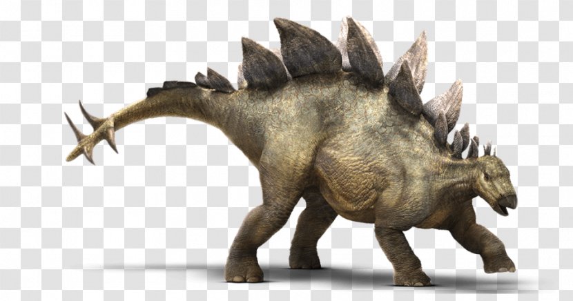 Stegosaurus Tyrannosaurus Jurassic Park Builder Ankylosaurus Triceratops - Dinosaur Transparent PNG