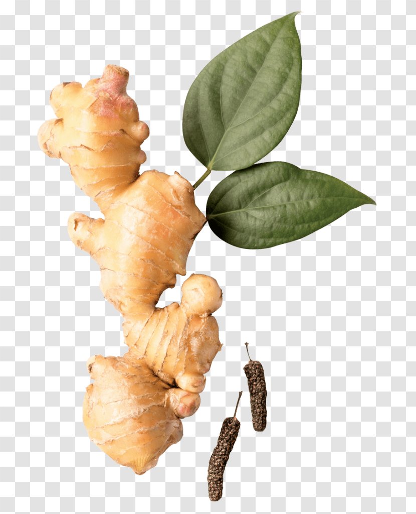 Himalaya Trikatu 60 Caps Herb Root Vegetables Dietary Supplement Ginger - Drug Company - Zingiber Flag Transparent PNG