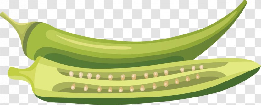 Food Illustration - Banana Family - Vector Vegetables Transparent PNG