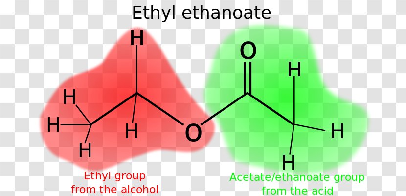 Acetic Acid Ester Butyl Group Acetate - Watercolor - Cartoon Transparent PNG