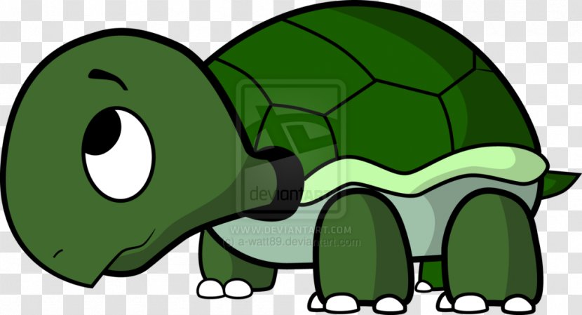 Tom Turtle Drawing Clip Art - Grass Transparent PNG