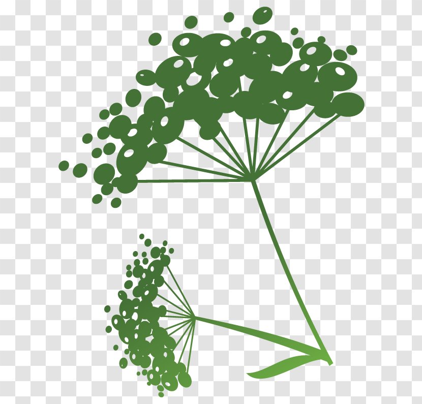 Flowering Plant Green Line Point Clip Art - Leaf Transparent PNG