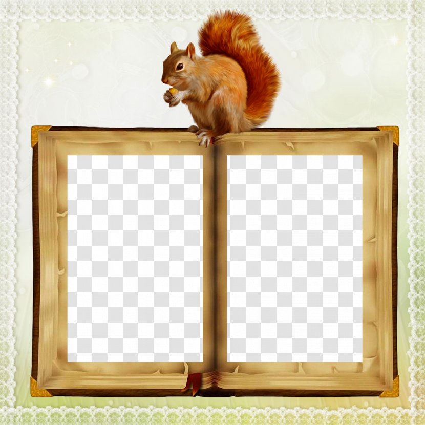 Squirrel Picture Frames - Tail Transparent PNG