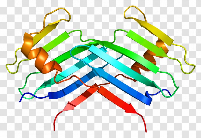 PLK4 Protein Kinase Gene - Dna Transparent PNG