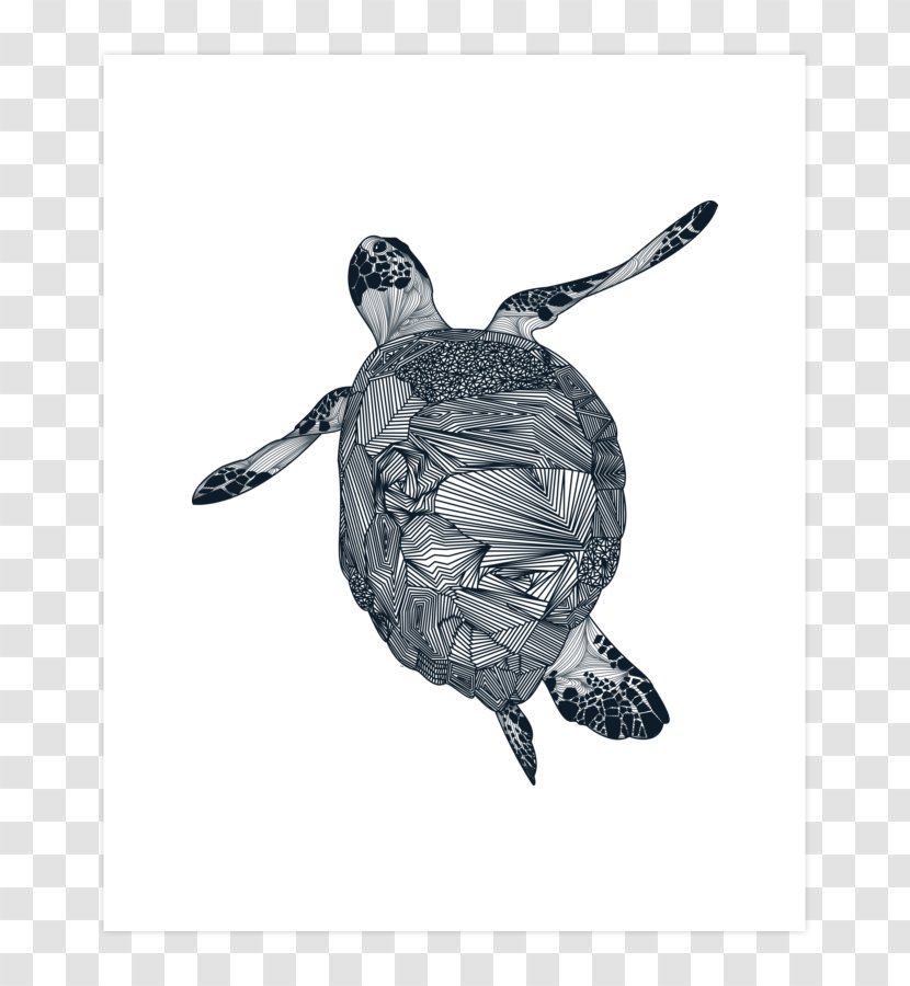 Sea Turtle Tortoise Drawing /m/02csf - White Transparent PNG