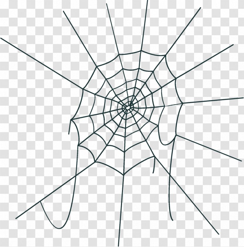 Spider Web Halloween - Line Art Diagram Transparent PNG