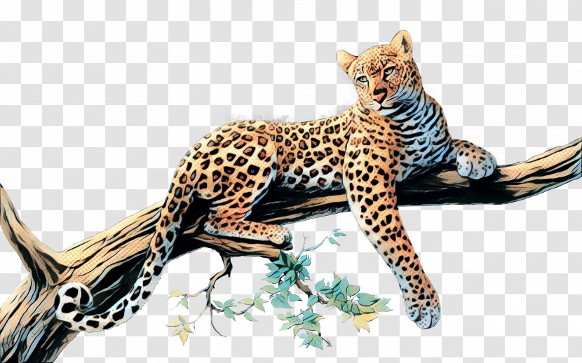 Cat Small To Medium-sized Cats Terrestrial Animal Wildlife Leopard - Wild Transparent PNG