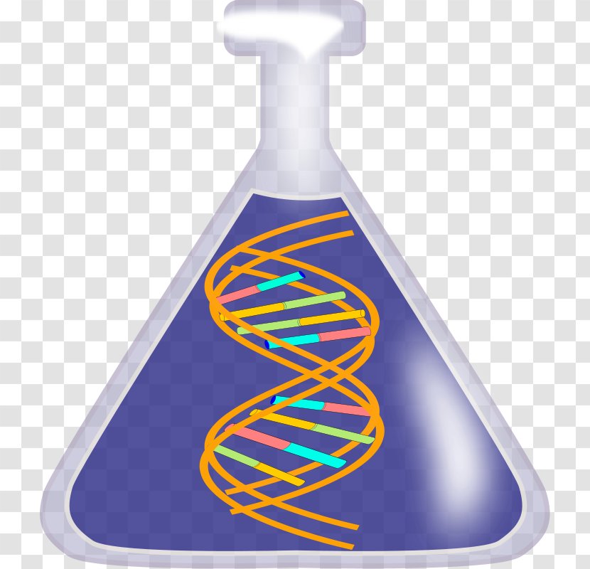 DNA Nucleic Acid Double Helix Free Content Clip Art - Dna - Echidna Clipart Transparent PNG