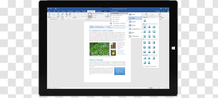 Microsoft Office 365 Word 2016 - Business Transparent PNG
