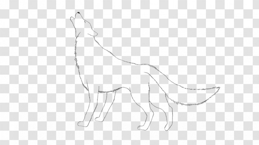 Canidae Cat Macropodidae Dog Sketch Transparent PNG