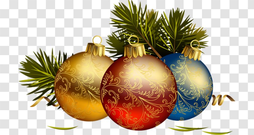 Christmas Ornament New Year Clip Art - Pine Family - Rockefeller Center Transparent PNG